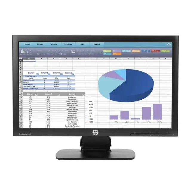 HP ProDisplay P202