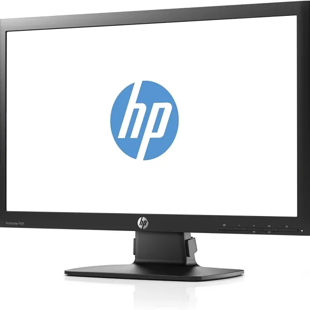 HP ProDisplay P221