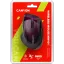 Снимка 4